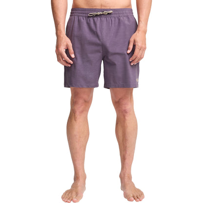 Billabong Mens Every Other Day Boardshorts