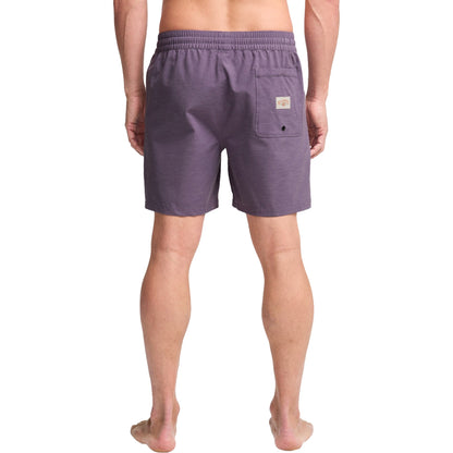 Billabong Mens Every Other Day Boardshorts